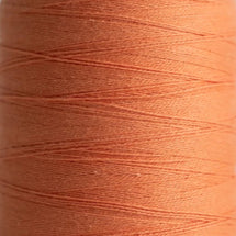 1315 - Light Orange
