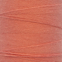 1317 - Salmon