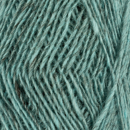 Fjallalopi ** NEW **