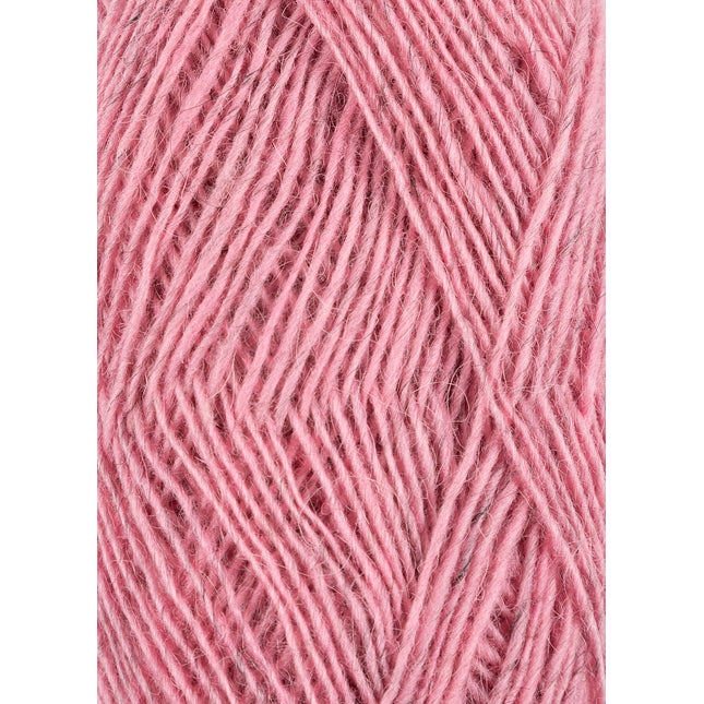 Fjallalopi ** NEW **