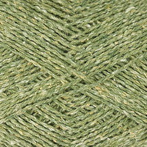 6921 - Fern