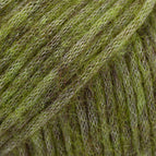 46 - Dark Olive **NEW**