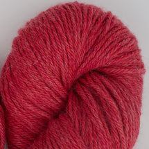 51194 - Rhubarb