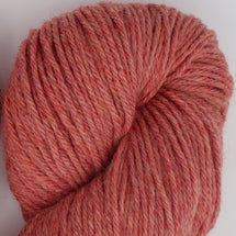 5195 - Macaron
