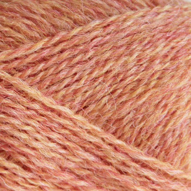 Pip Colourwork & Naturals
