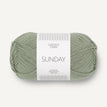 8521 - Dusty Light Green