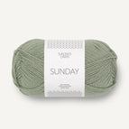 8521 - Dusty Light Green