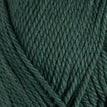 12662 - Evergreen