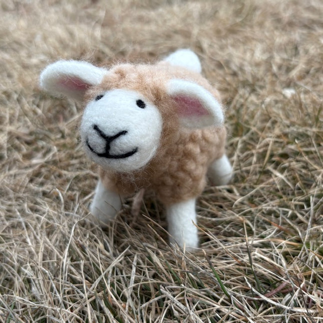 Shep the Sheep Felting Kit