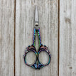Long Rainbow Butterfly