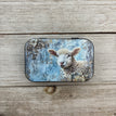 Blue Sheep
