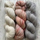 11 - Fog / Seashells / Polar