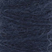 025 - French Navy