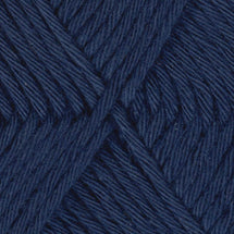 2009 - Navy