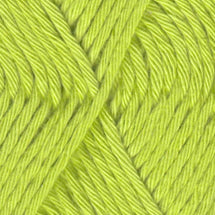2021 - Chlorophyll
