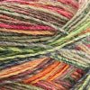 04 - Rainbow Mix