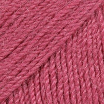 3770 - Raspberry Rose