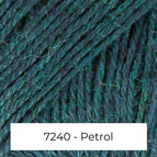 7240 - Petrol