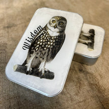 Wisdom Owl
