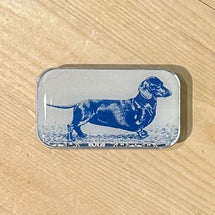 Dachshund