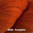5646 - Pumpkin