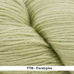 5798 - Eucalyptus **NEW**