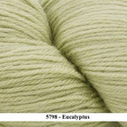 5798 - Eucalyptus **NEW**