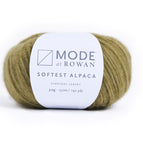 25 - Olive **NEW**