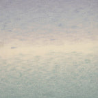 301 - Light Denim/Mint