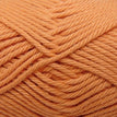977 - Pumpkin *NEW*