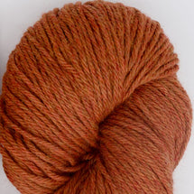 5176 - Pumpkin