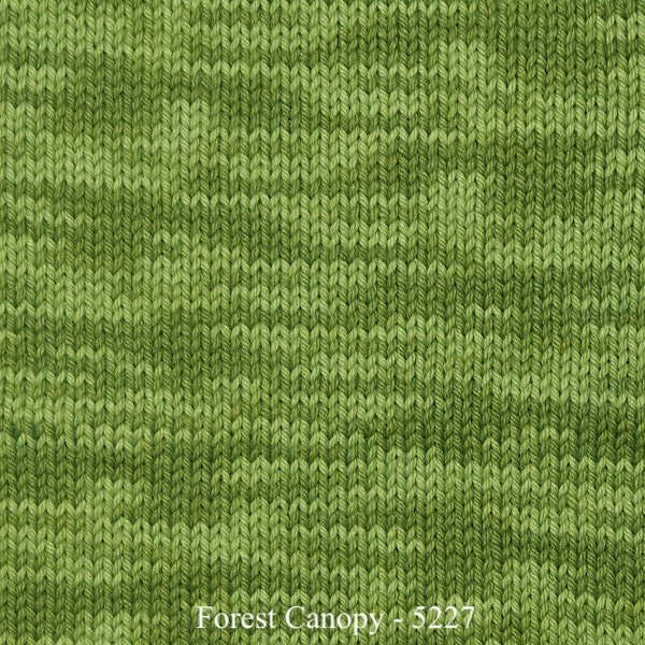 Vintage Handpaint *NEW* - A Twist of Yarn