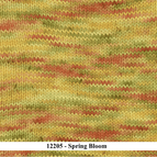 12205 - Spring Bloom