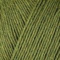 12069 - Fennel