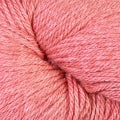 21193 - Guava