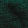 3965 - Evergreen